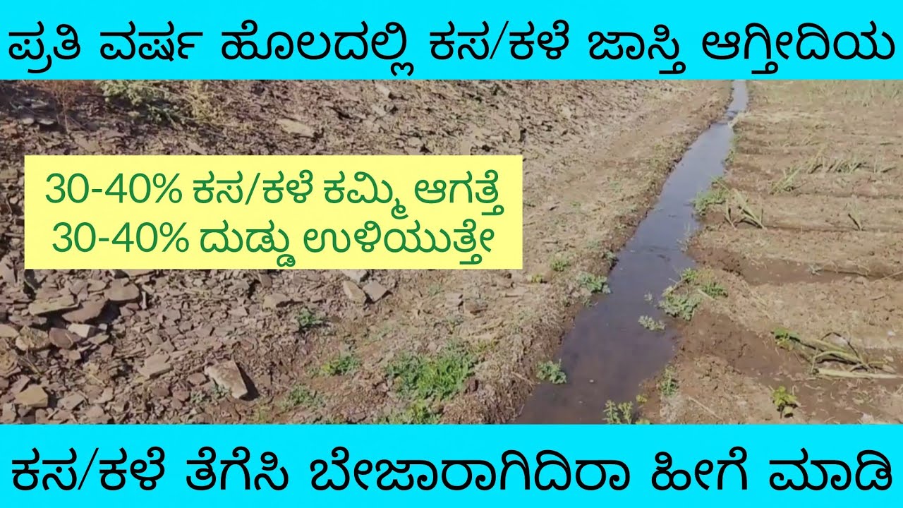 ಪ್ರತಿ ವರ್ಷ ಕಸ ಕಳೆ ಜಾಸ್ತಿ ಆಗ್ತಿದೆಯಾ? | ಬದುವು ಇಲ್ಲದಿದ್ದರೆ 30% ಕಳೆ ಹೆಚ್ಚಾಗುತ್ತದೆ! |ರೈತರು ತಪ್ಪದೇ ನೋಡಬೇಕು