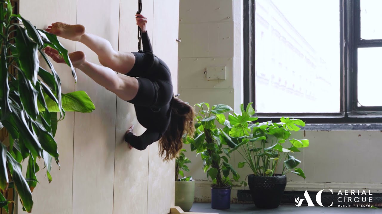 Welcome to the Jungle by Aerial Cirque | Creative Ireland | Cruinniú na nÓg