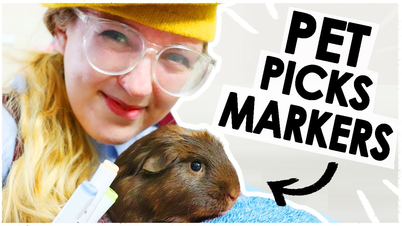 Pet picks my ART SUPPLIES! 🐹  (3 Marker Challenge)