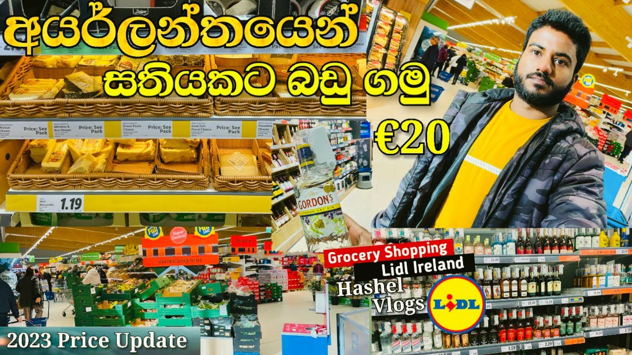 Weekly Grocery Shopping In Ireland|&euro;20|Lidl|Dublin Sinhala Vlog 2023🇮🇪🇱🇰🤟#ireland