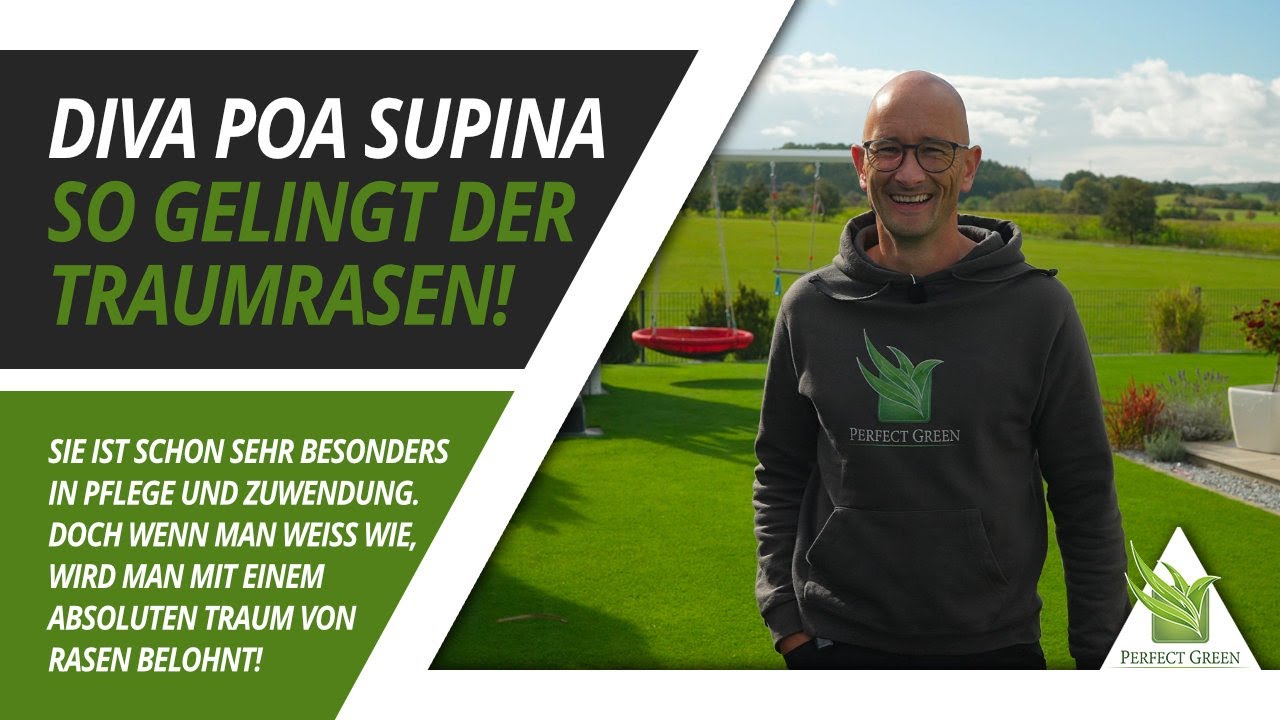 🌱 Traumrasen mit Poa Supina: So gelingt's mit der 
