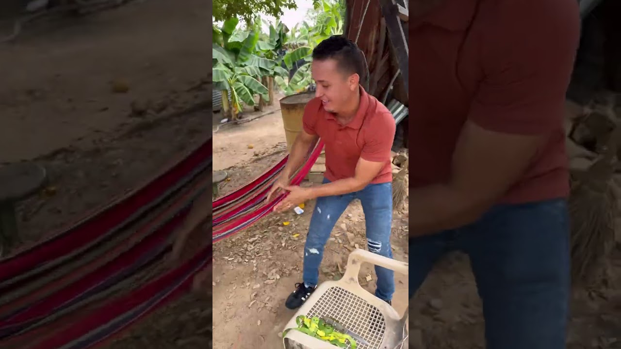 La hamaca
