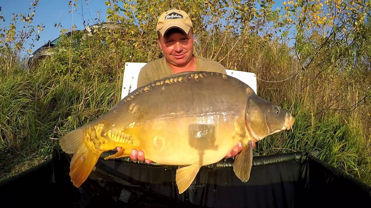 VACICKA CARP 2017
