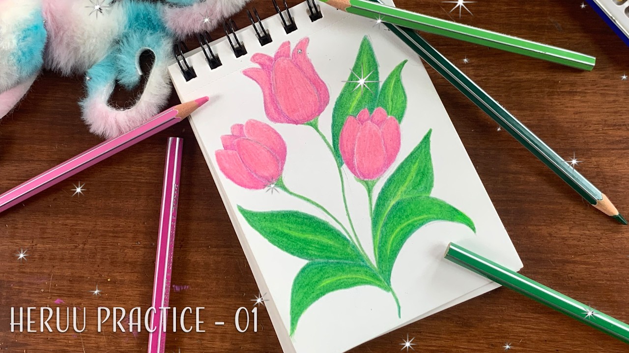 Tulip flowers color pencil shade/ Heruu practice 01
