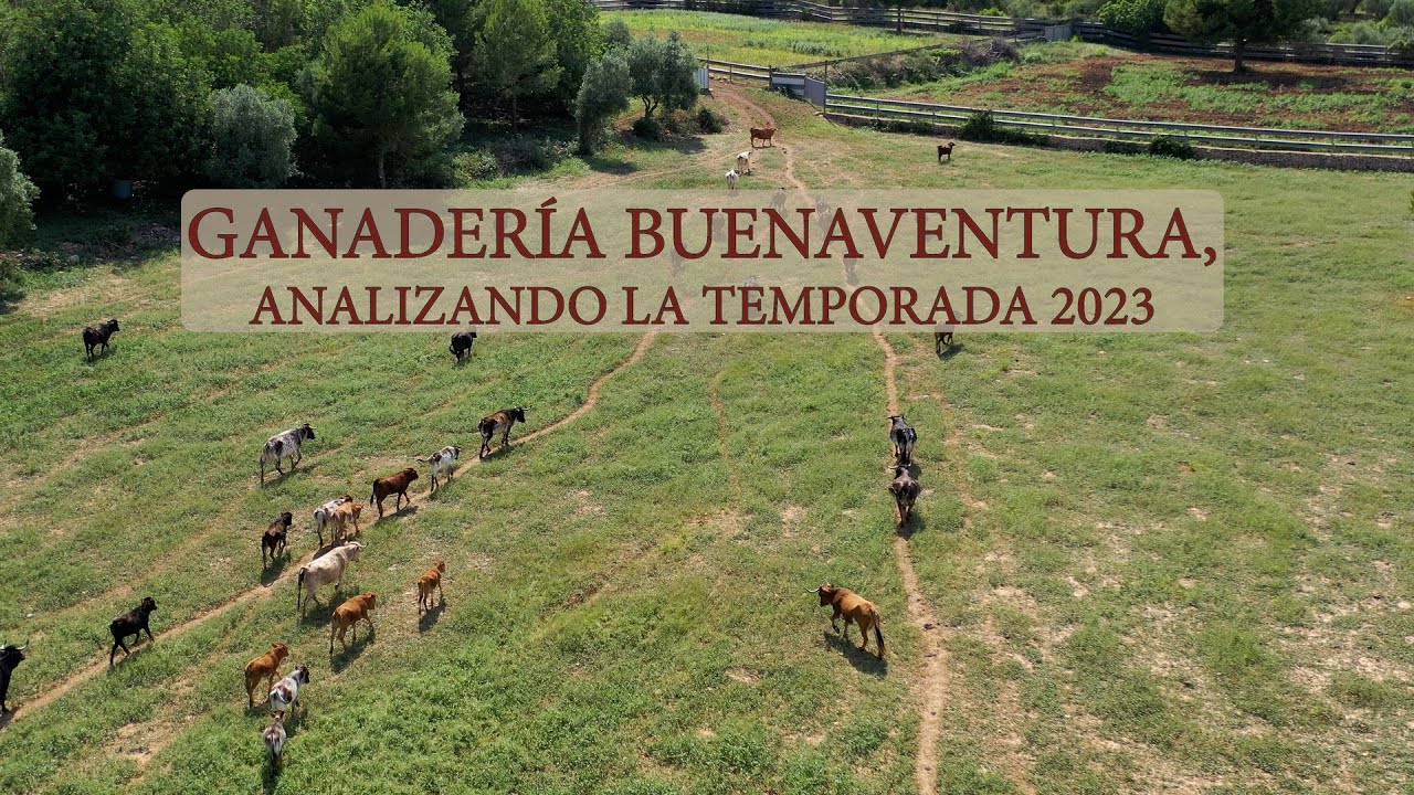 ALEJANDRO CUCALA (GANADERÍA BUENAVENTURA), ANALIZA LA TEMPORADA 2023