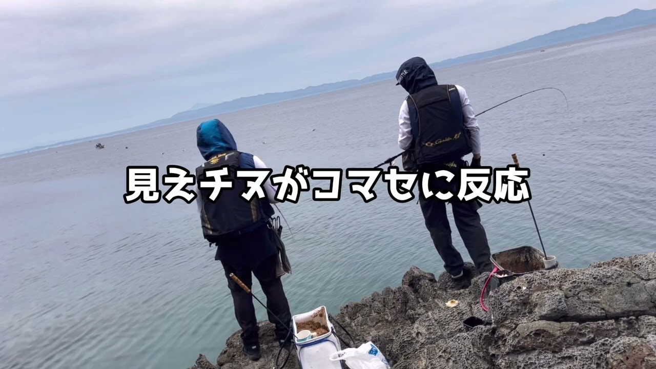 【青森湾チヌ釣り】見えチヌ狙い