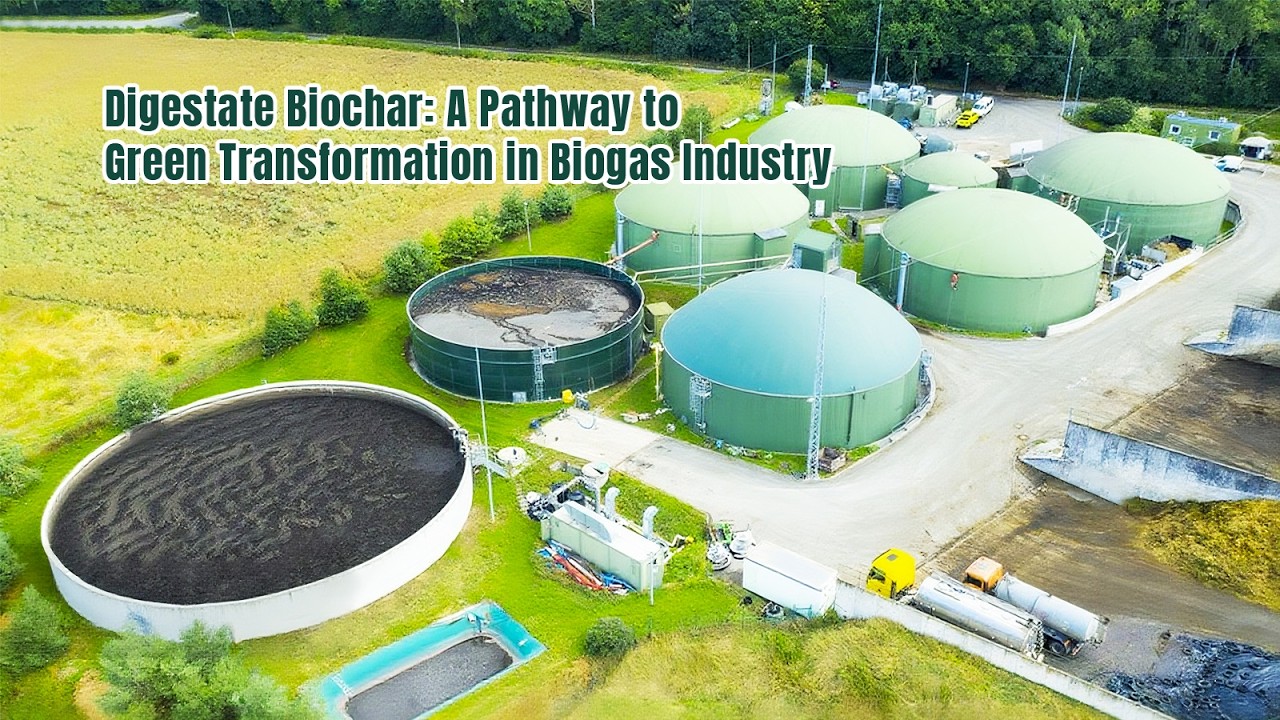 Digestate Biochar: A Pathway to Green Transformation in Biogas Industry