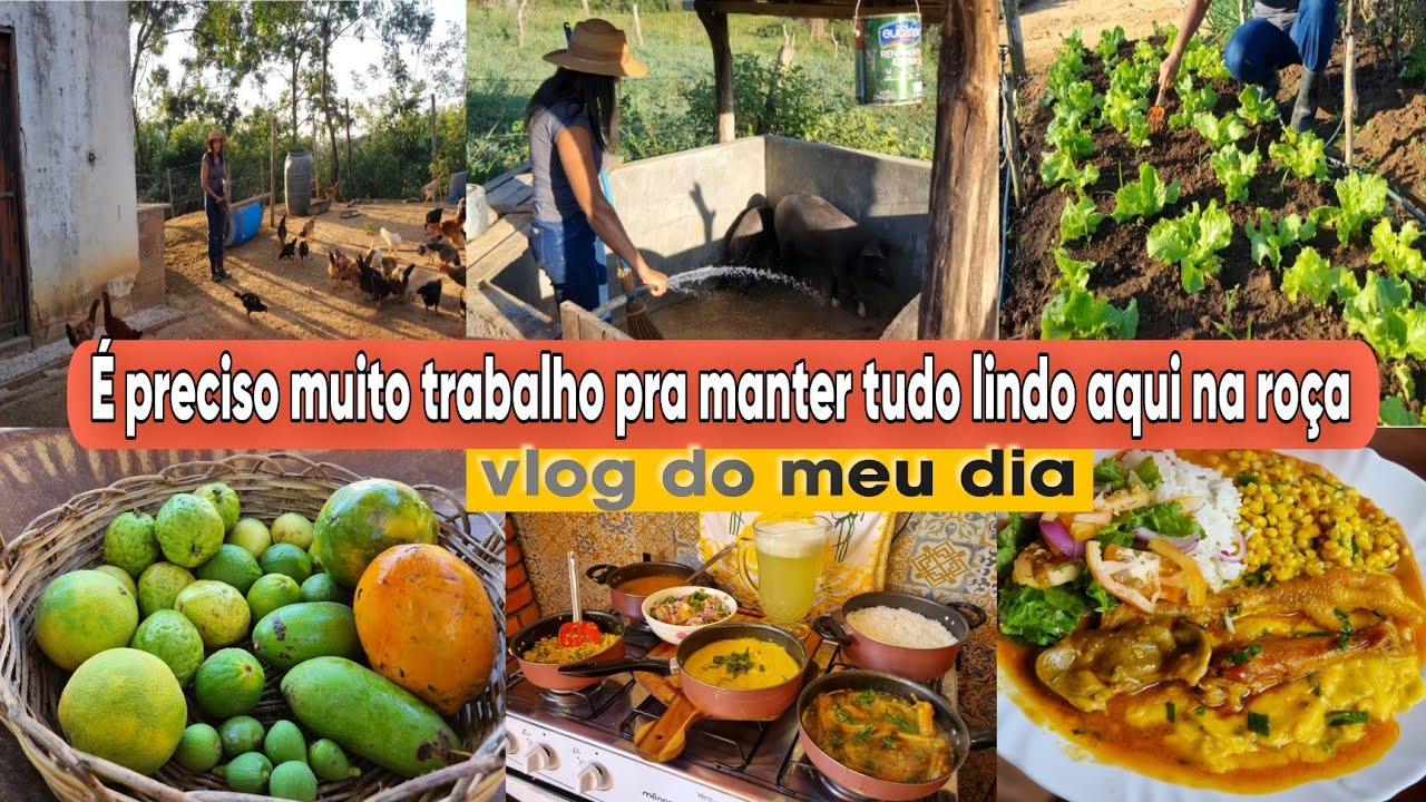 Fiz minha comida PREFERIDA/tratandos dos ANIMAIS/ cuidando da HORTA/ colheita de FRUTAS /ALMOÇO