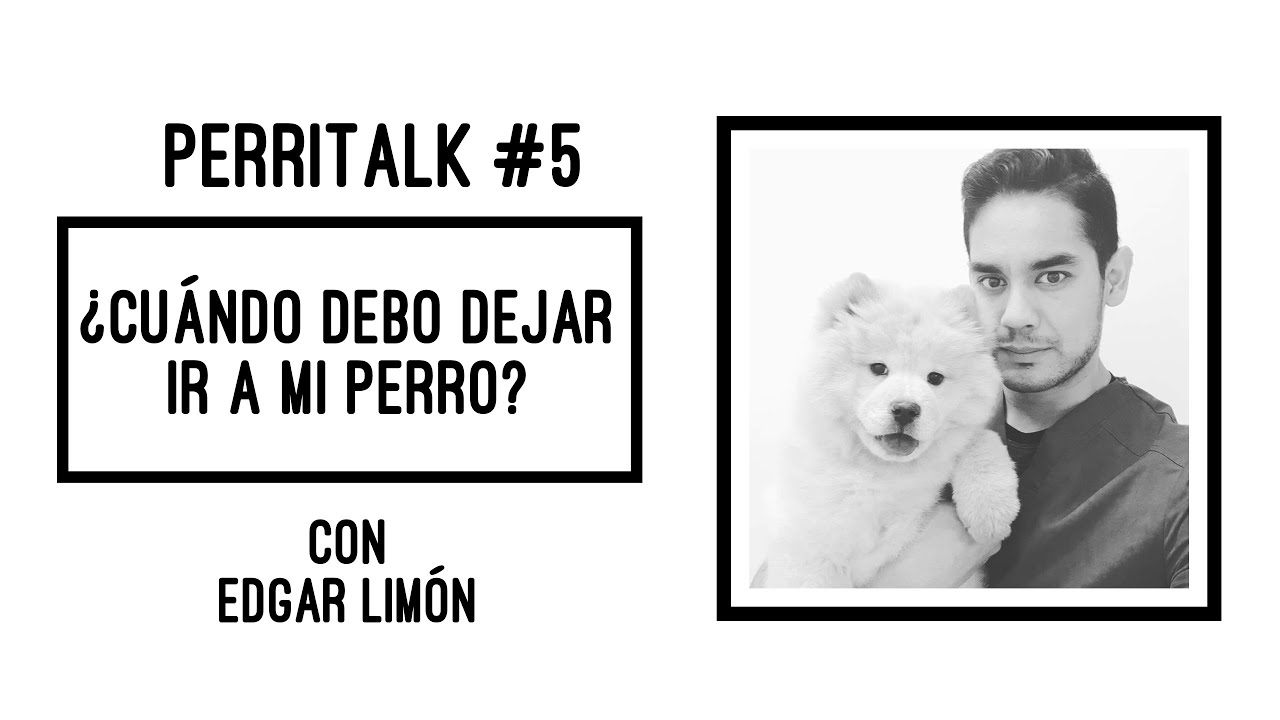 😢 Cómo es la eutanasia en perros 🐶 🌈 / mascotas / animales PERRHIJOS  que es la eutanasia