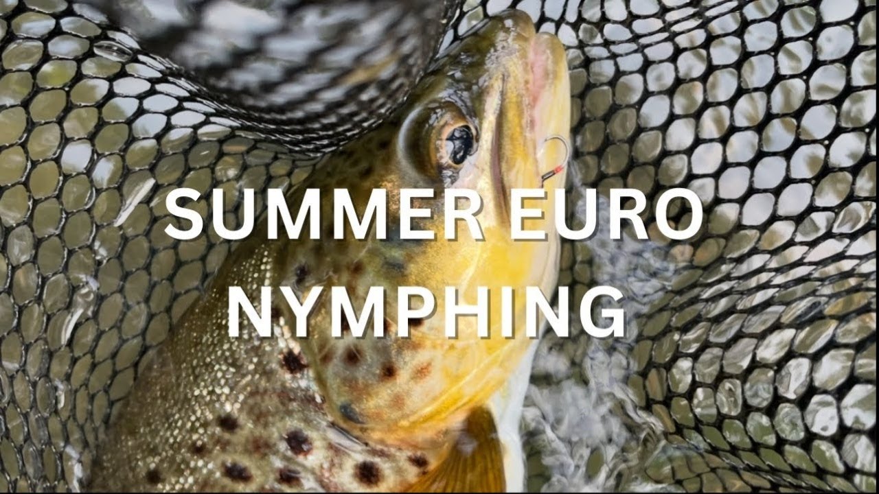 Incredible Summer Euro Nymphing!