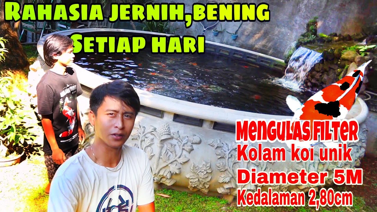 Sistem filterasi kolam ikan koi unik jernih/bening setiap hari
