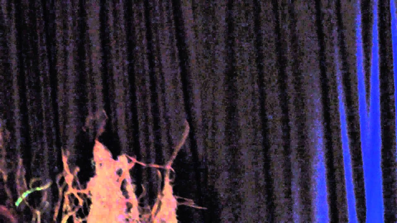 Ian & Paul Panel