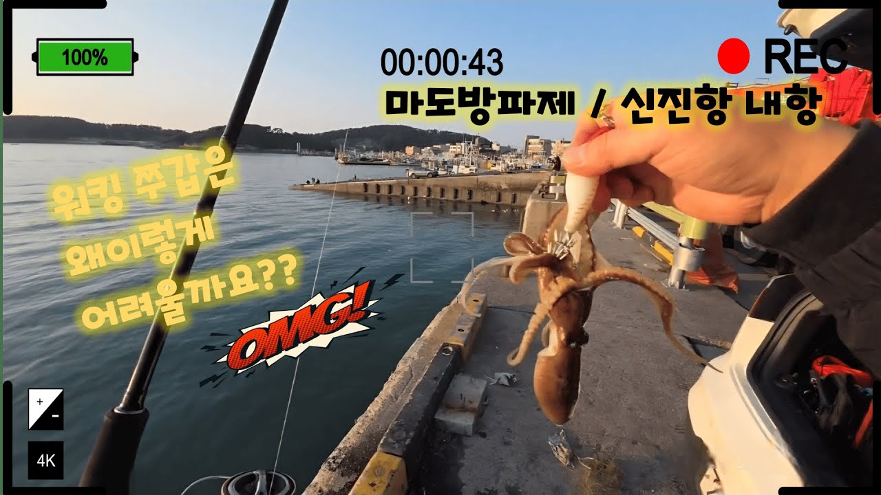 마도방파제/신진항 초보 워킹 쭈갑 앵글러 조행기