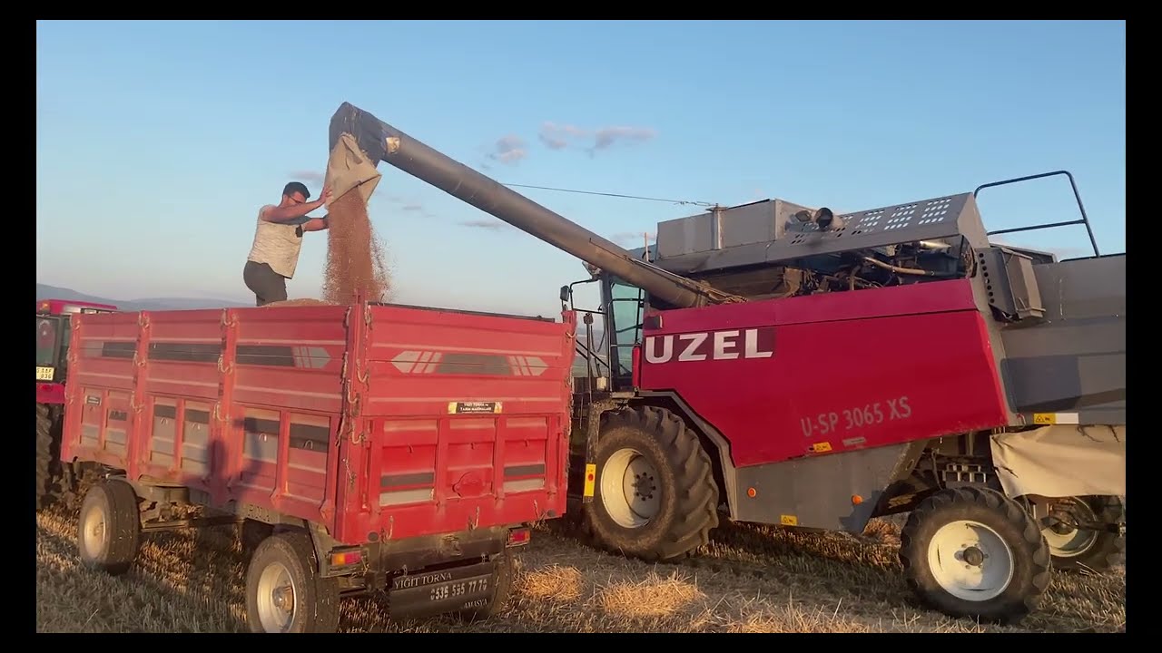 Harvesting barley with UZEL harvester Döverbiçer ile arpa biçimi #UZEL #biçerdöver #newholland #bcs