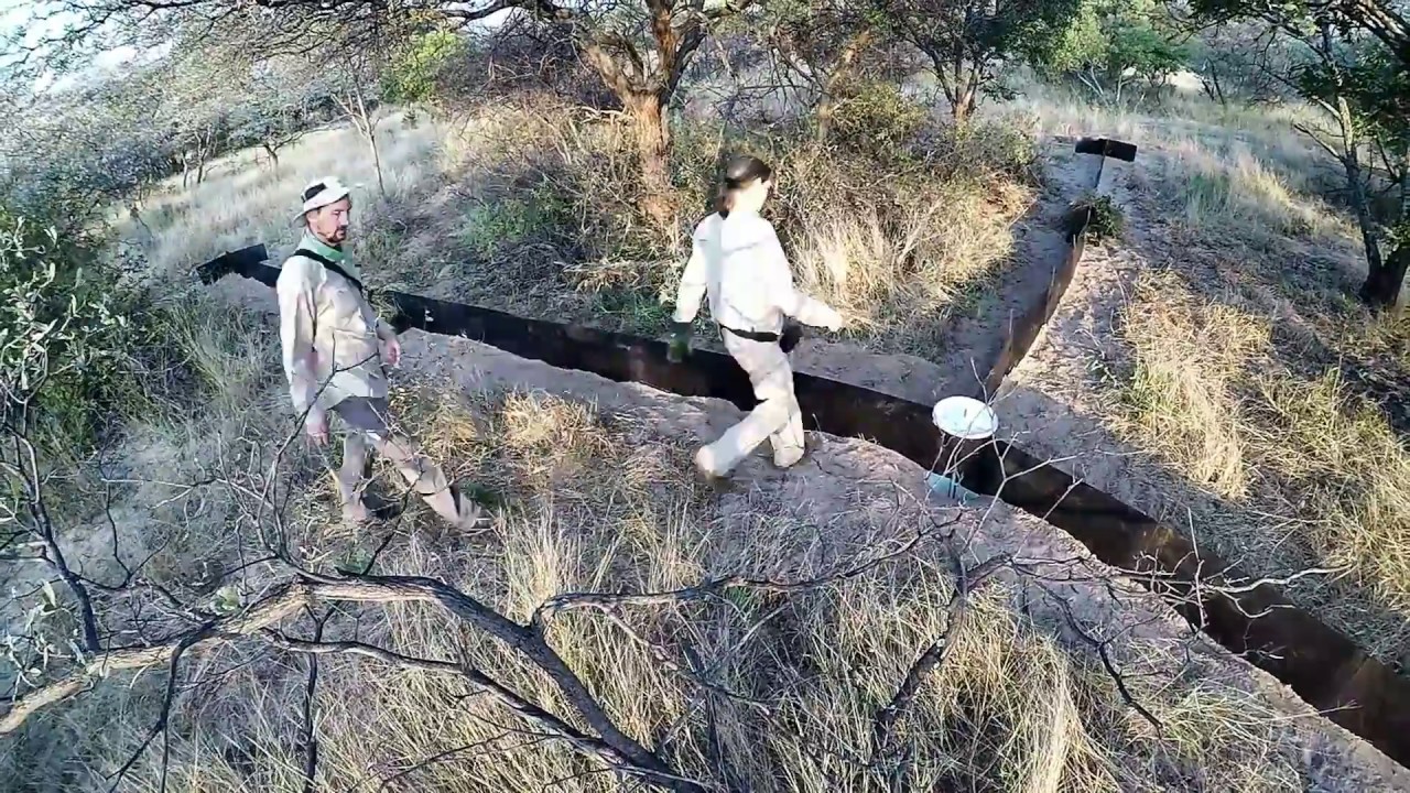 Herpetofauna trap array setup and dismantle with some captured animals