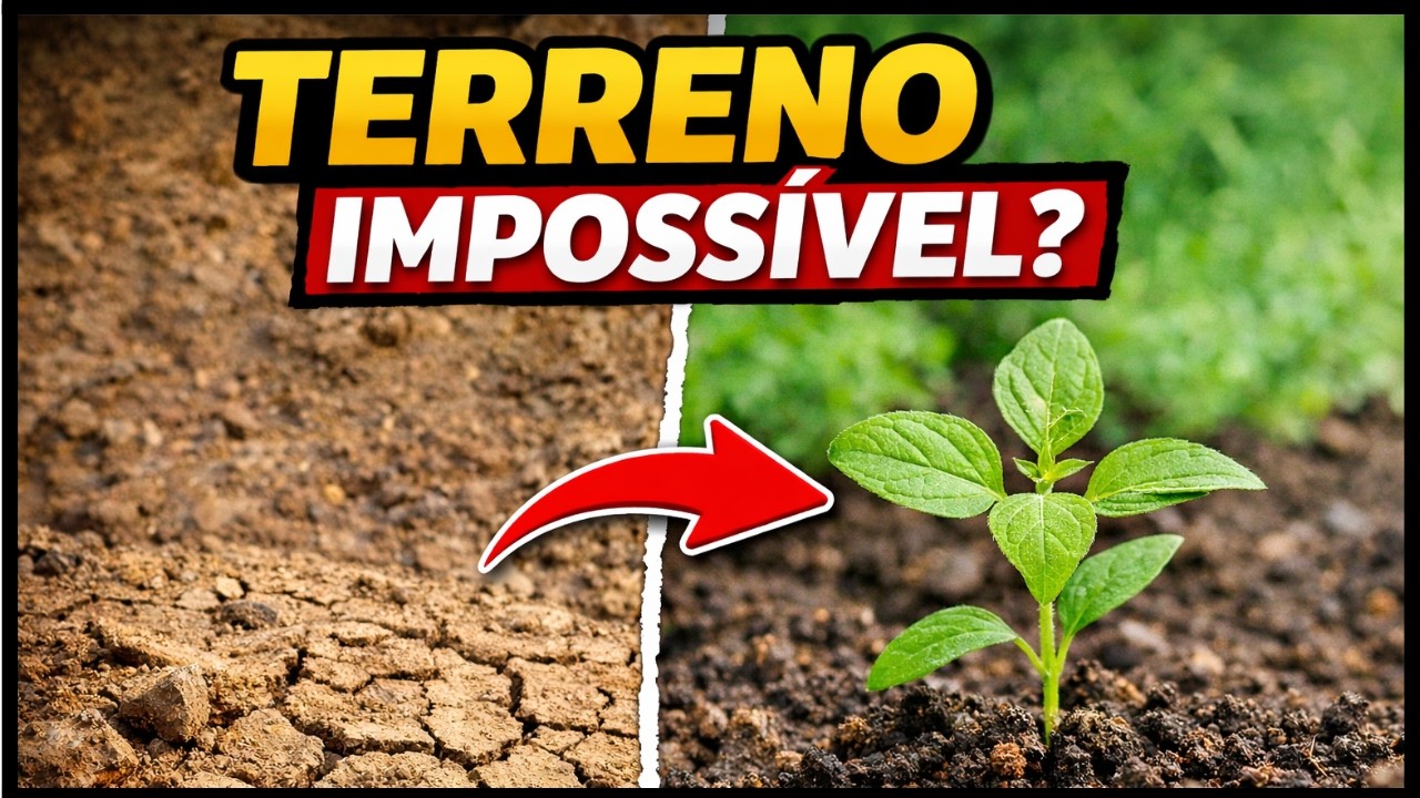 COMO PLANTAMOS EM TERRENO DIFÍCIL