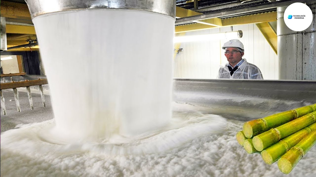 Como Se Hace Elabora El Azúcar A Partir De La Caña De Azúcar  Increíble Proceso De Fábrica De Azúcar
