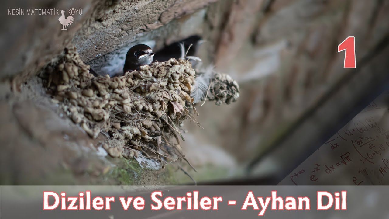 Diziler ve Seriler 1 - Ayhan Dil