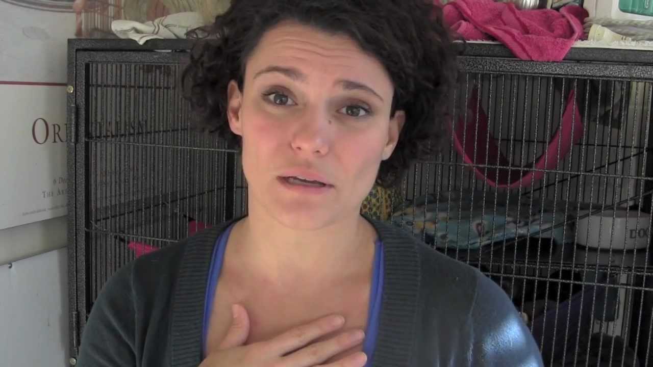Helping a coughing ferret - Day 16
