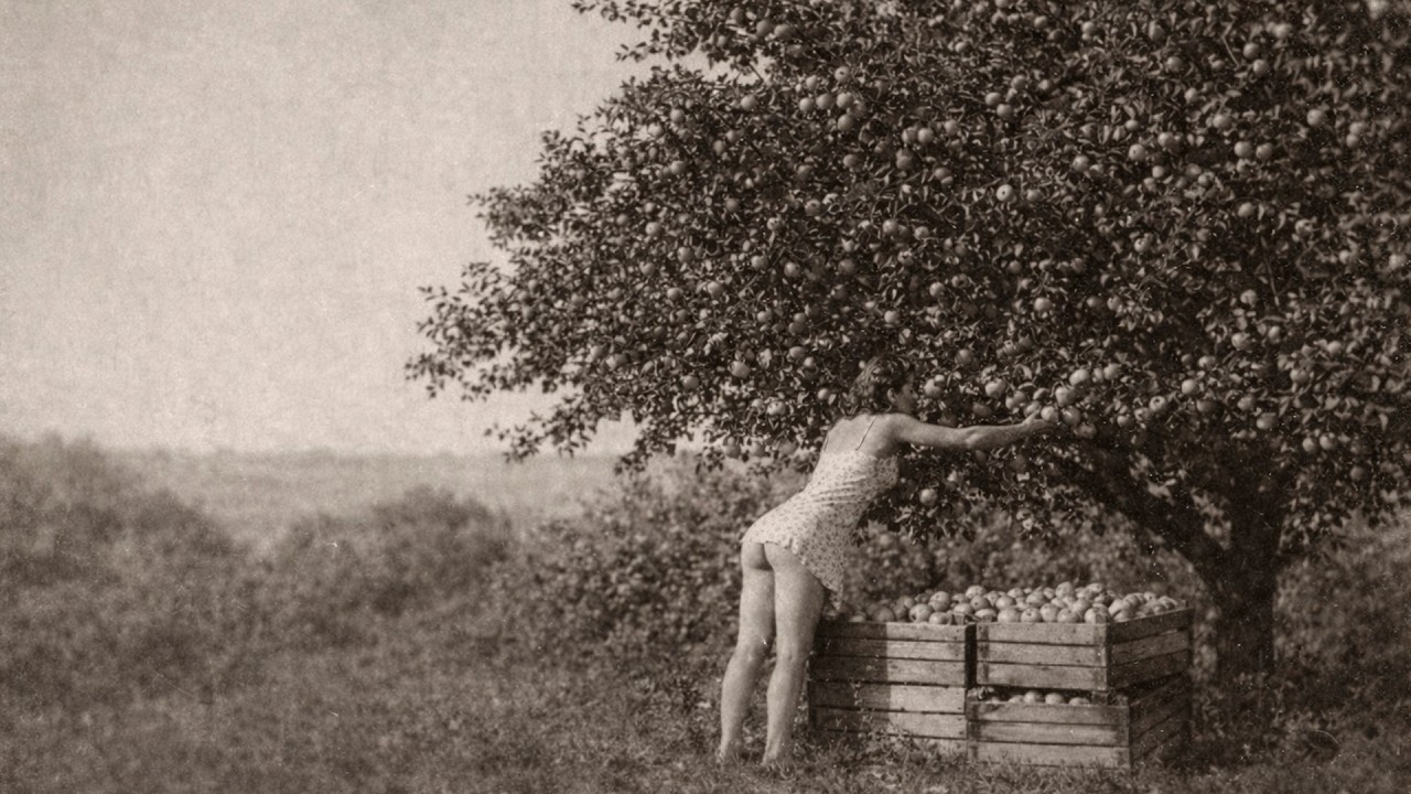ЭТИ Исторические Фотографии НЕ ПОКАЗЫВАЛИ в Школе