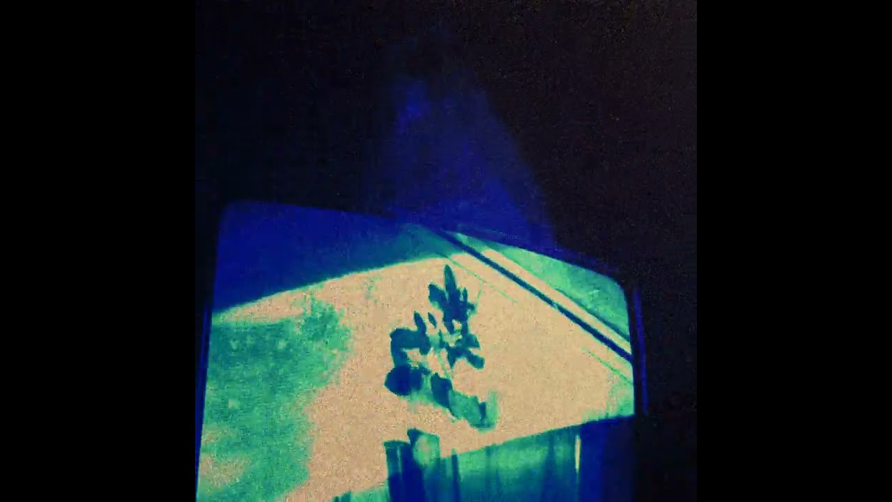 NUIT OCEĀN - TILL THE DAWN