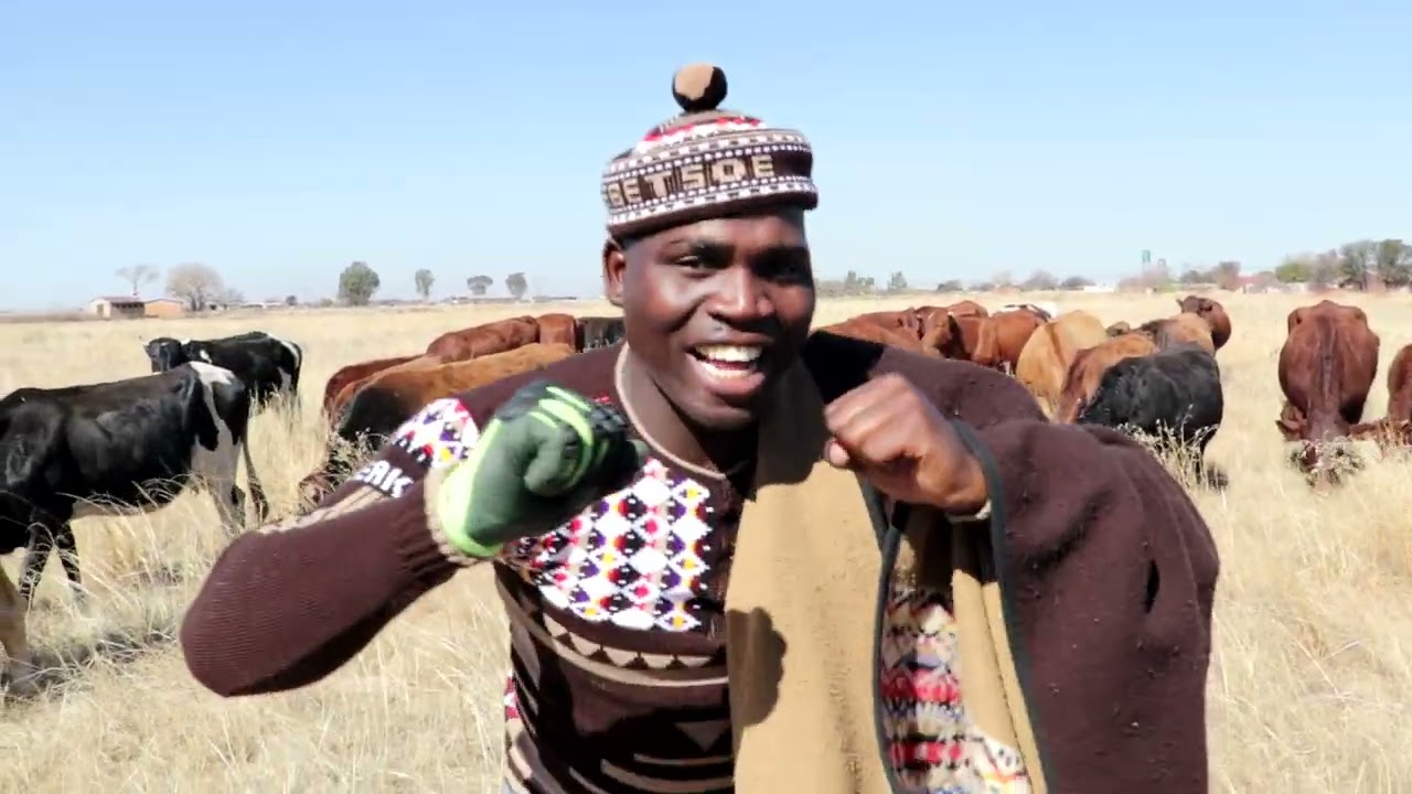 Katiba Promo EXPOSED Is It REALLY Better Than Other Promos?