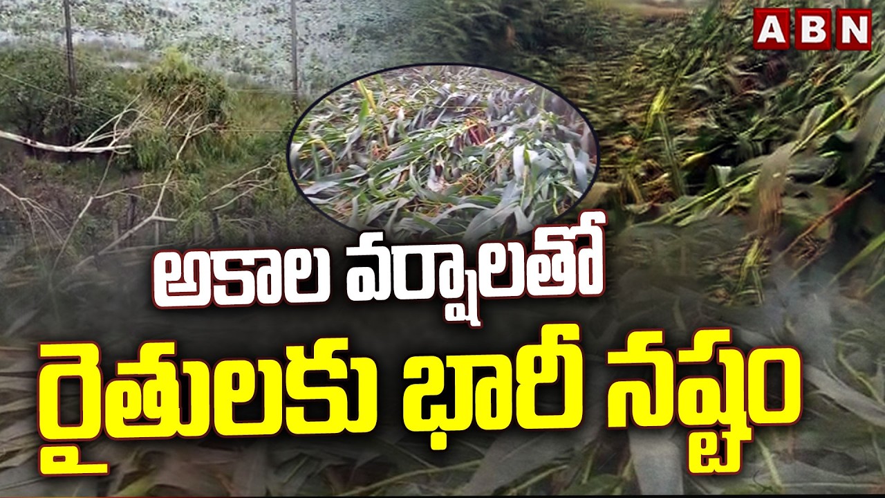 అకాల వర్షాలతో రైతులకు భారీ నష్టం | Rain Effect in Telugu States | Weather Updates | ABN