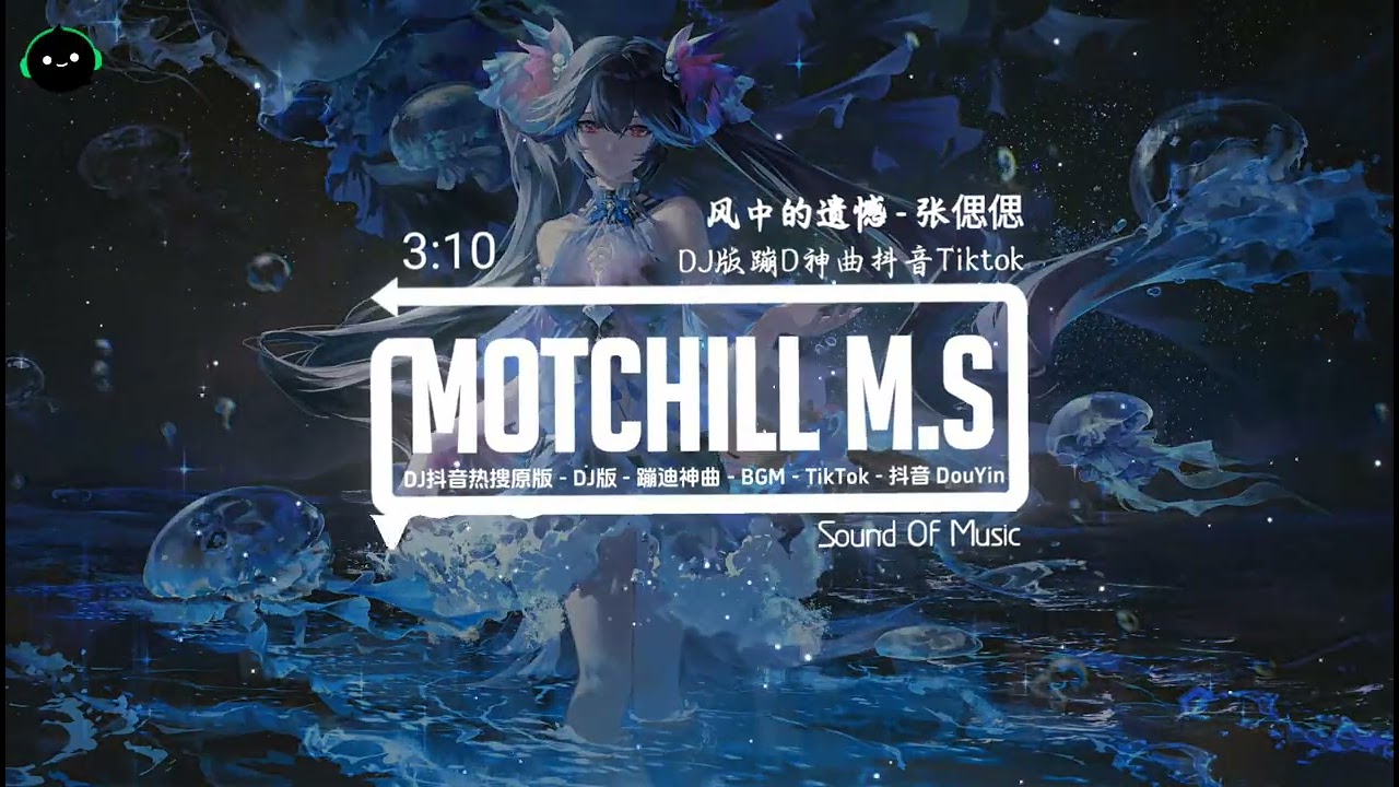 风中的遗憾 (抖音DJ版) - 张偲偲「我在风里呼喊，你的声音可曾听见。」♪ || 一听成瘾抖音热歌 | DJ版抖音热门歌曲 | 热搜抖音神曲 | 抖音 | TikTok Douyin ♪