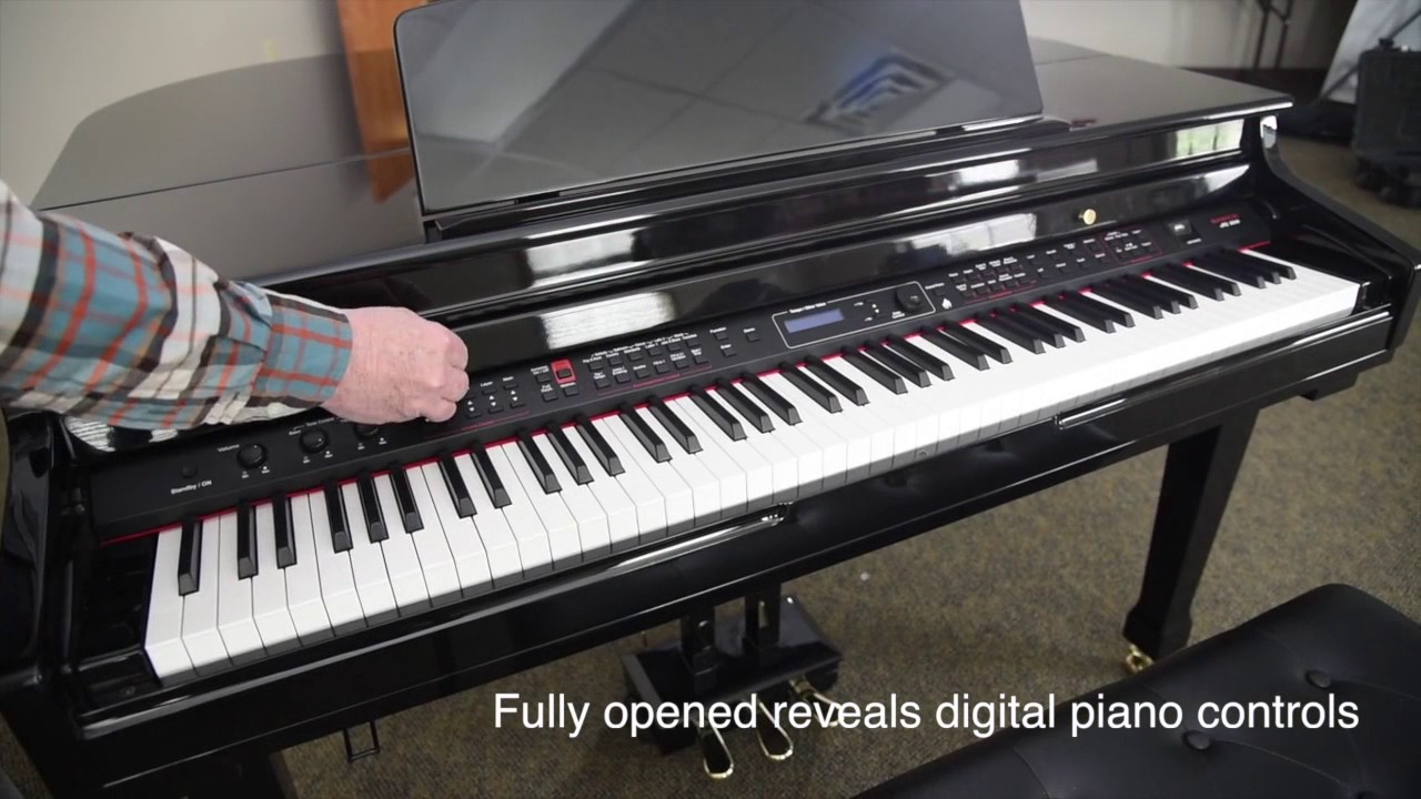 Samick Digital SG-500