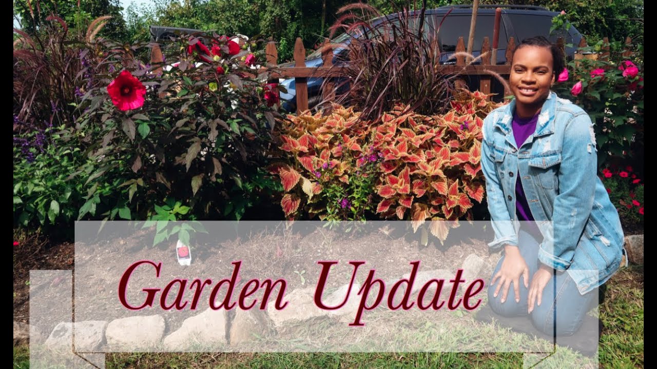 Garden Update| GARDENADDICTZ