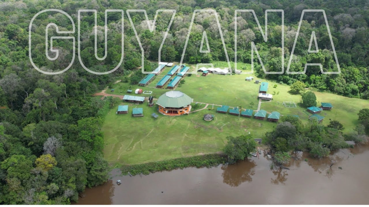 Best Birding Hotspots - Iwokrama River Lodge & Research Centre | Guyana | #GlobalBigDay2024