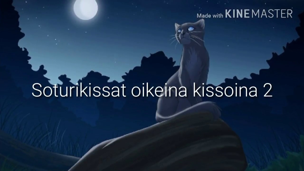 Soturikissat oikeina kissoina 2