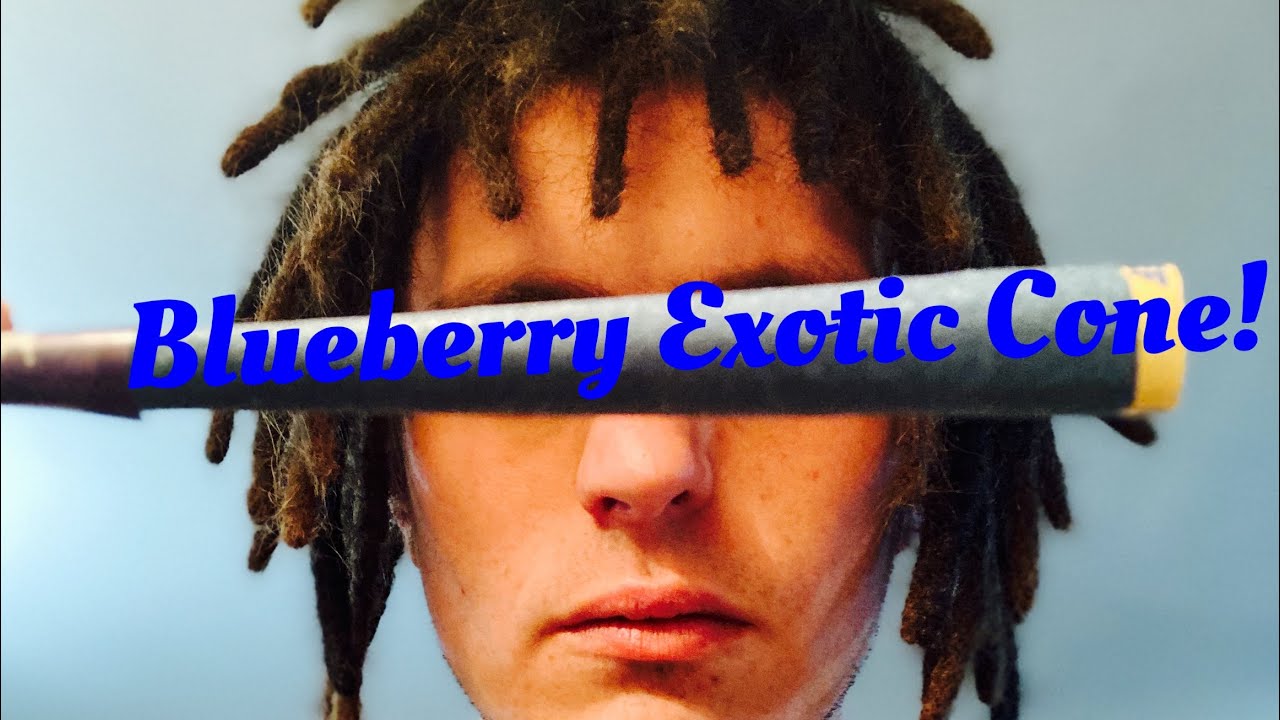 Exotic Blueberry Cone! 😶&zwj;🌫️🫐 From King Palm!