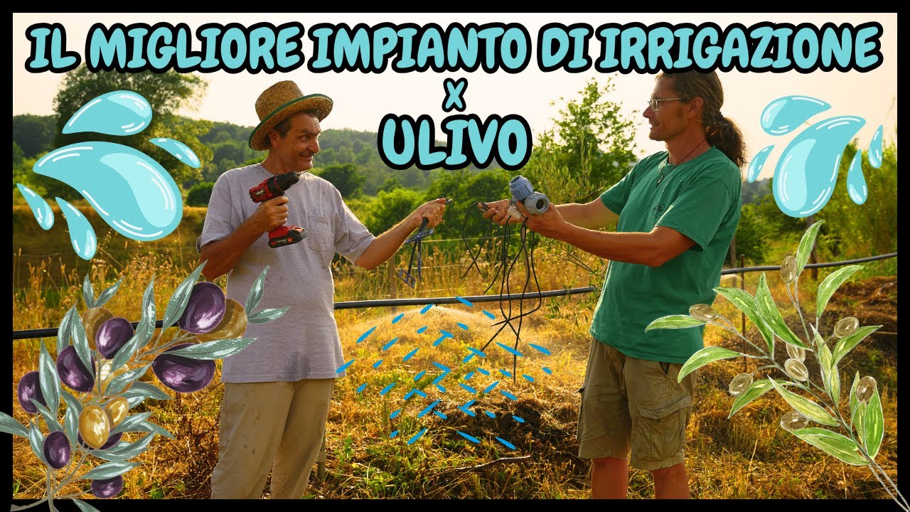 Come COSTRUIRE un IMPIANTO D'IRRIGAZIONE per i tuoi OLIVI | GUIDA Passo-Passo