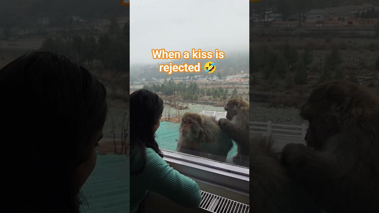 Day 174: When a kiss is rejected 🤣