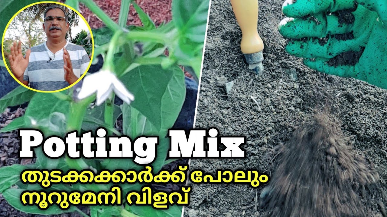 തുടക്കക്കാർക്ക് പോലും നൂറുമേനി വിളവ് നേടാൻ ഗ്രോബാഗ് ഇങ്ങനെ നിറയ്ക്കൂ | How to prepare Growbags