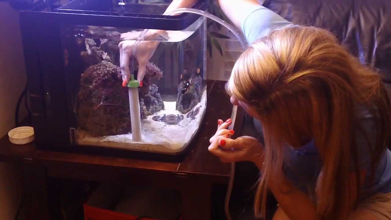 Coralife BioCube Basics- The Water Change