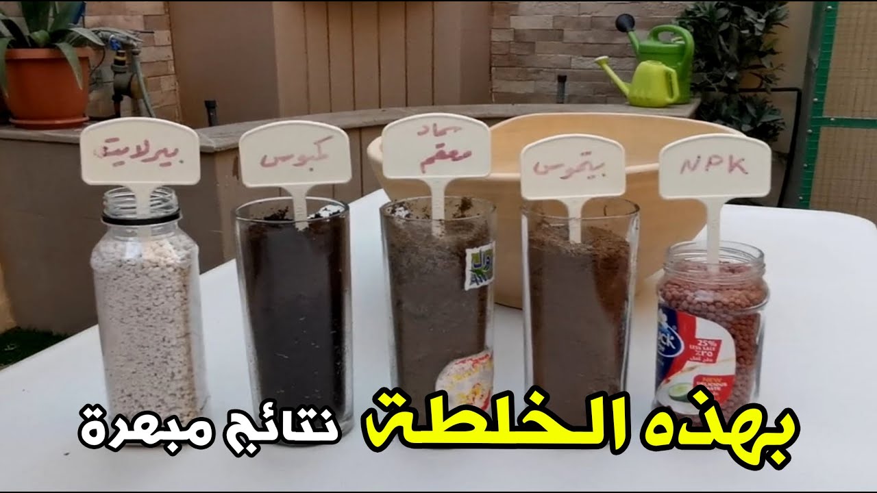 بهذه الخلطة نتائج مبهرة