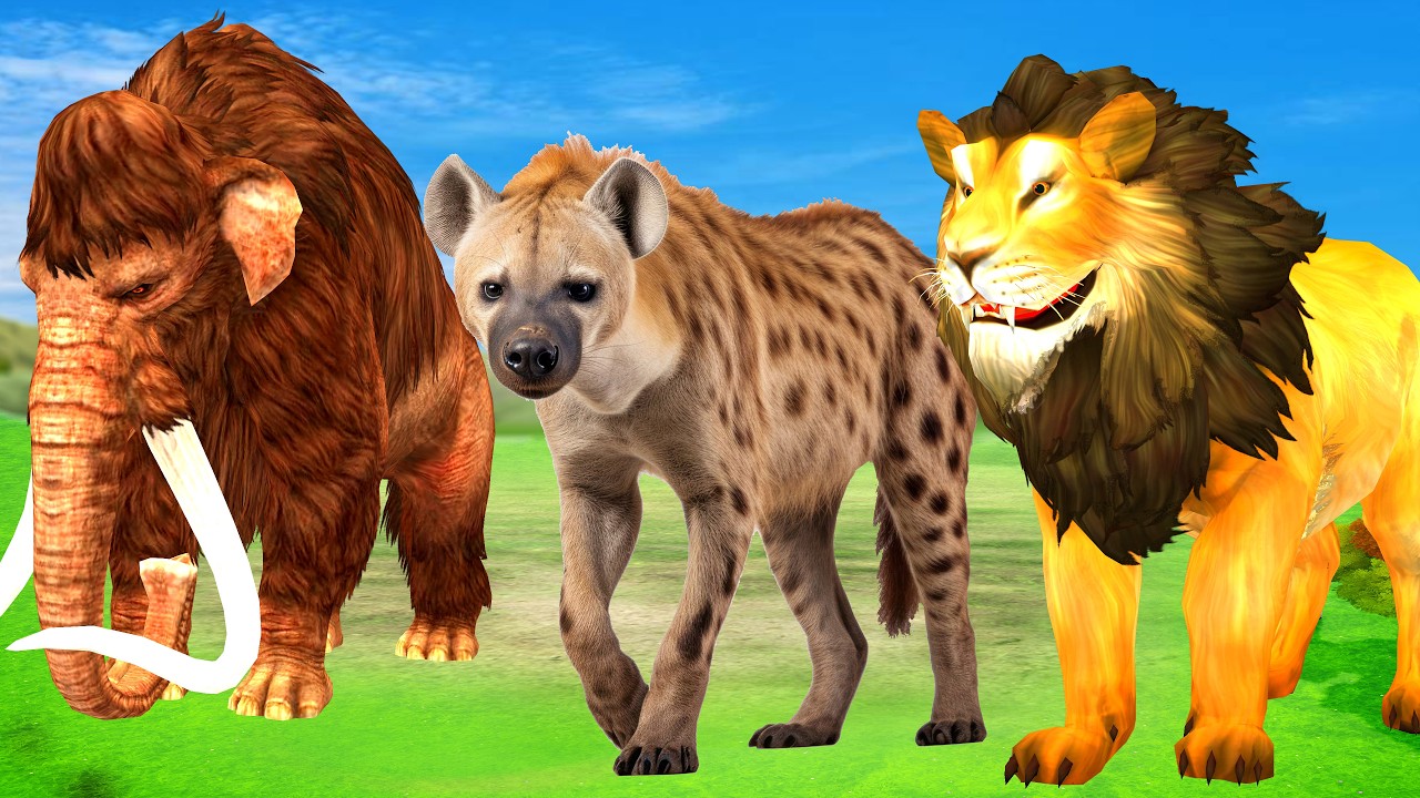 3 Giant Lion Rescue of Lion Cubs from Hyenas Attack Saved by Woolly Mammoth Elephant Vs Tiger Chase