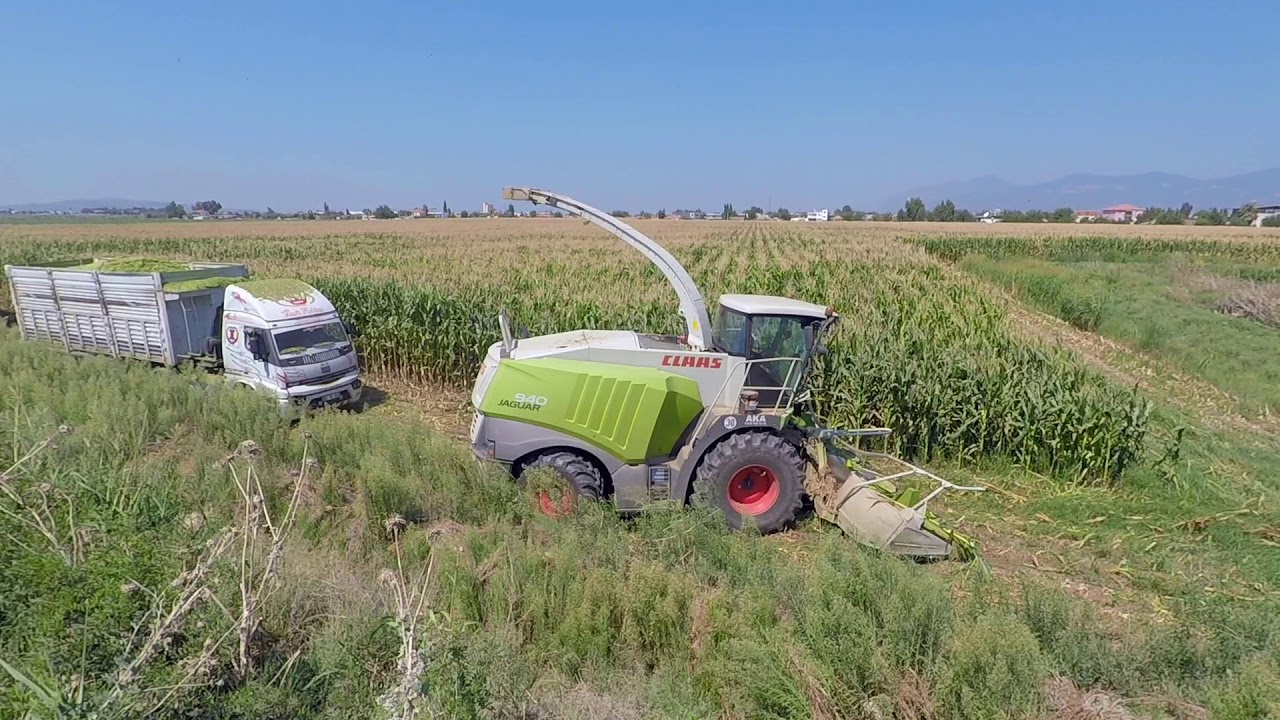 Mısır Silajı - Claas 940 Jaguar