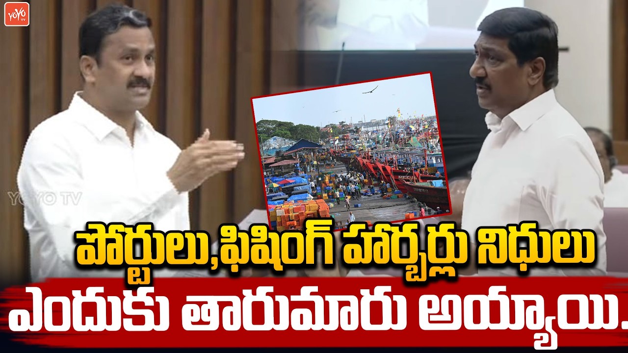 MLC Madhava Rao Strong Counter To Minister BC Janardhan Reddy | YS Jagan Vs CM Chandrababu | YOYO TV
