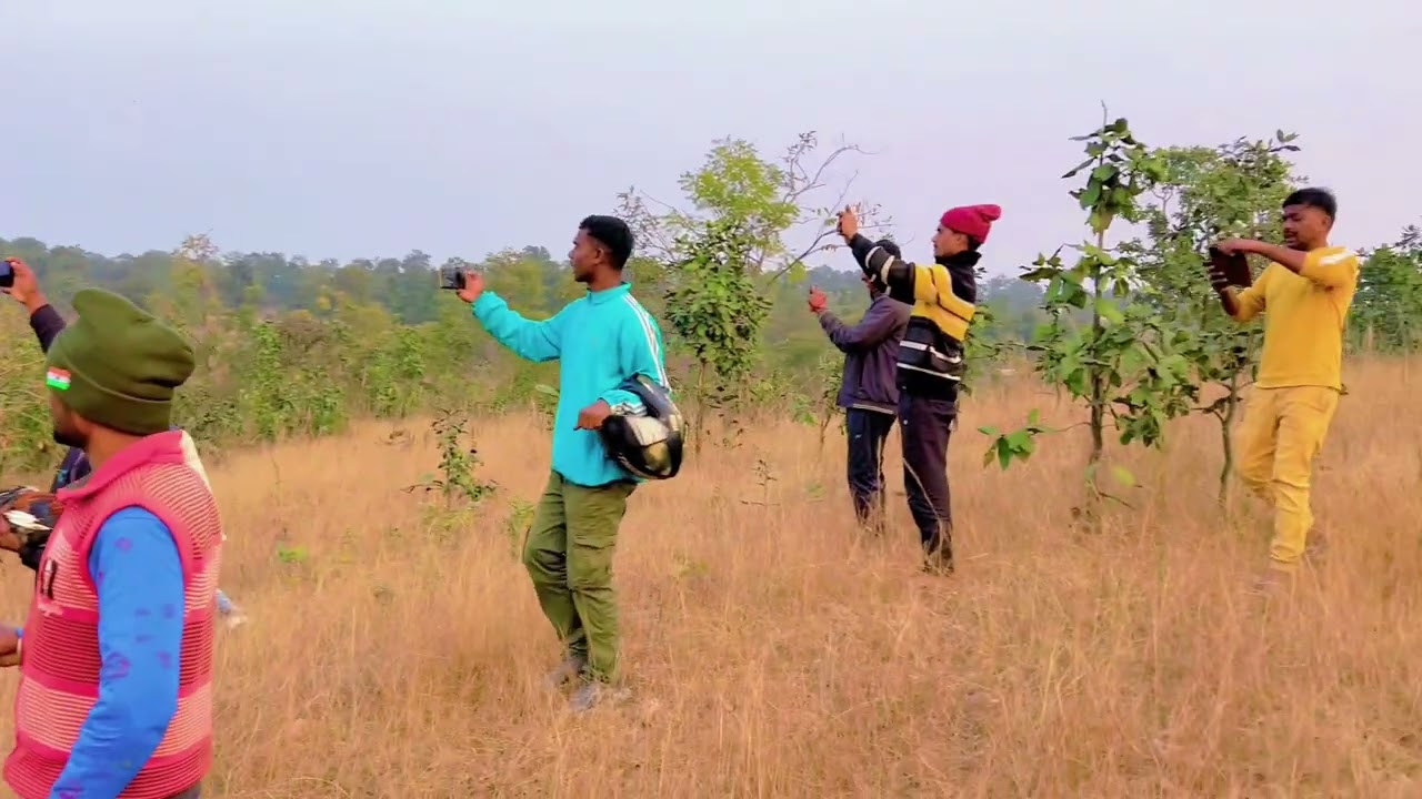 जंगली 🐘🐘हाथियों का झुंड हमारे गांव में घुस गये हैं 