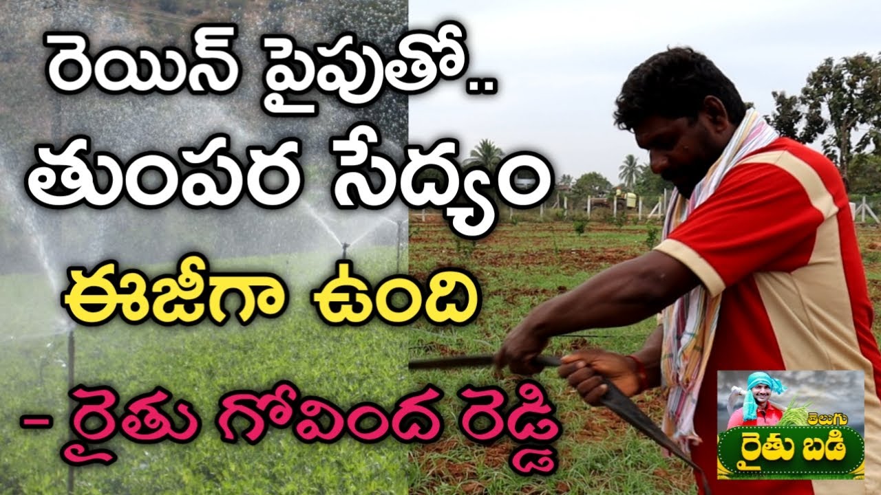 8 వేల ఖర్చుతో 10 ఎకరాల్లో వేరుశనగ తుంపర సాగు | Rain Pipe Irrigation System | తెలుగు రైతుబడి