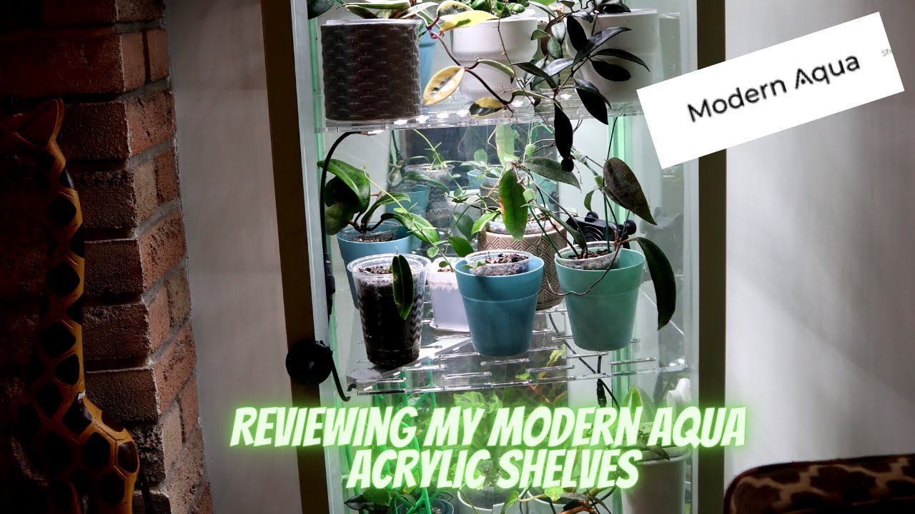 Reviewing New Acrylic Shelves for My Ikea Greenhouse Cabinet