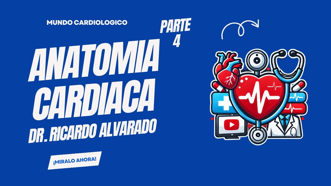 ANATOMIA CARDIACA-PARTE 4: ESQUELETO FIBROSO DEL CORAZ&Oacute;N