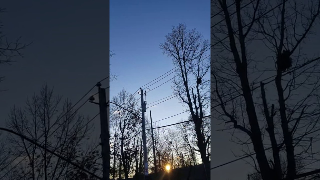 Moon and the Sun 🌛🌞