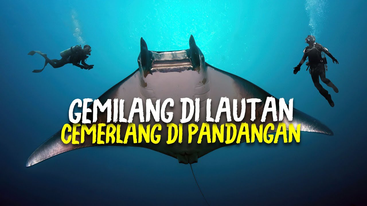 Ikan Peh Tidak Boleh Dianggap Remeh #AlamSemenit
