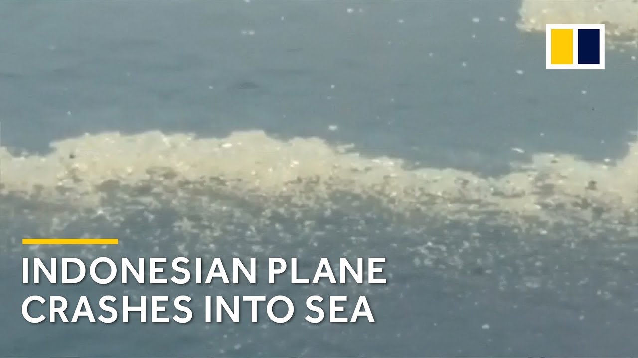 Search under way for Indonesian Lion Air plane that crashed into sea