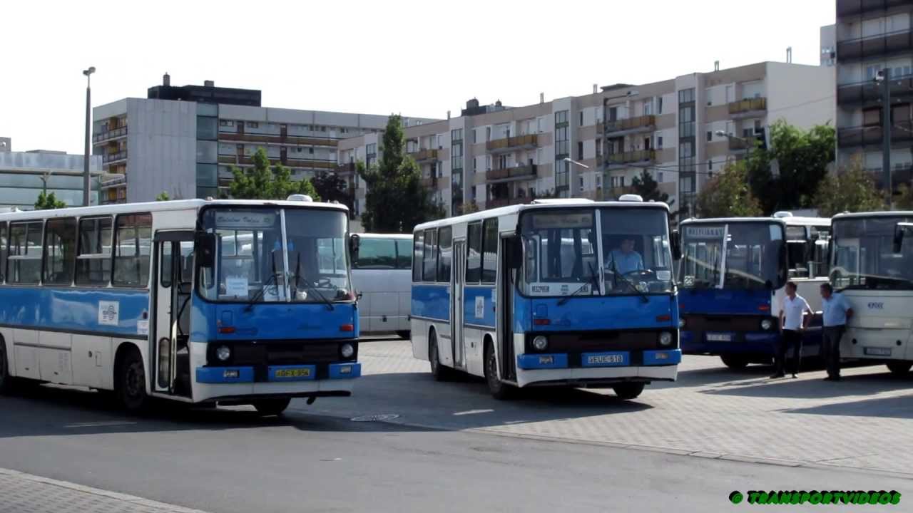 2015.08.25. - Buszok a veszprémi autóbusz-állomáson