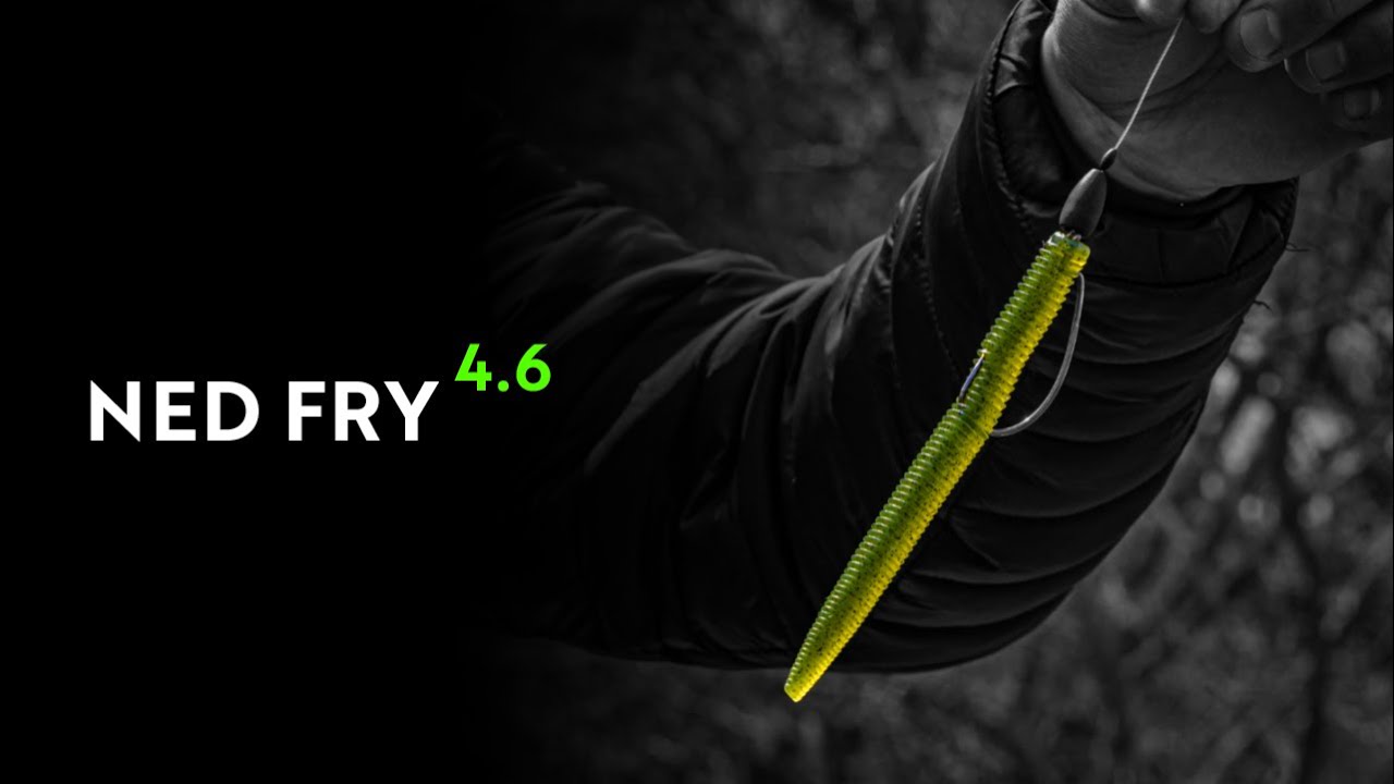 A Finesse Fishing Bait You NEED to Try Out (Rig it On ANYTHING)